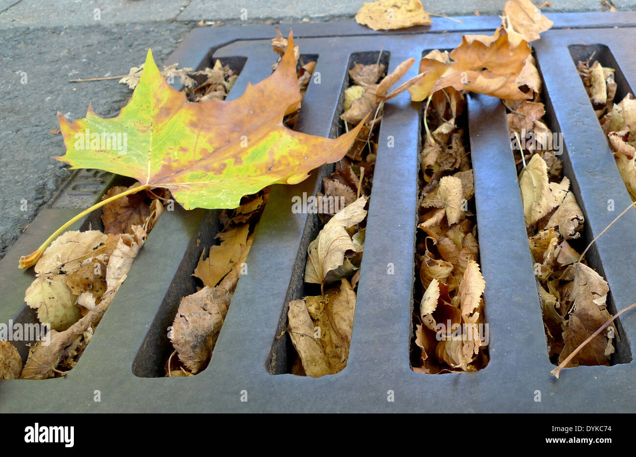 Mit Herbstlaub Verstopfter Kanaldeckel, verstopfte Wasserrinne Mit Herbstlaub Verstopfter Kanaldeckel | blockierte Rinne | Stockfoto