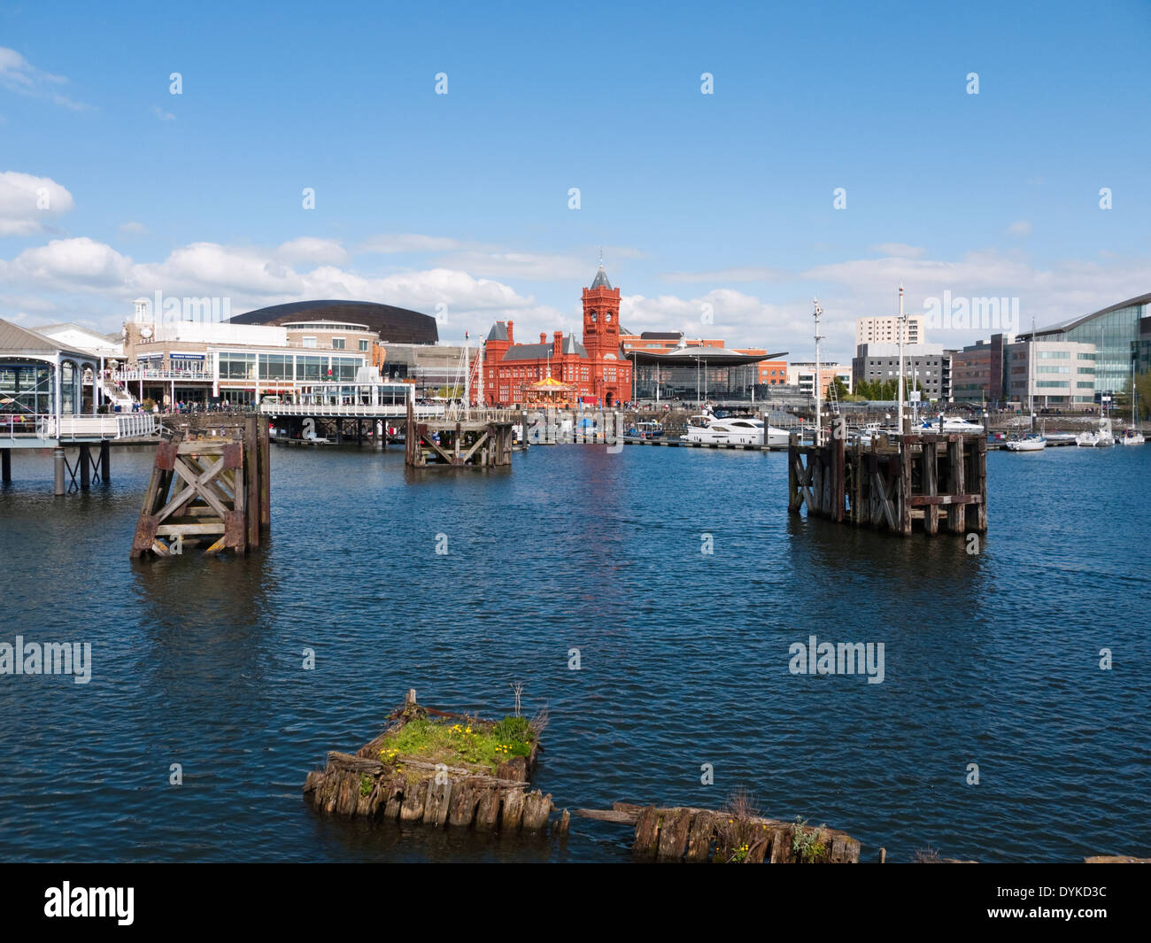 Ansicht von Cardiff Bay mit Bars, das Pierhead Building und Y Senedd (Welsh Assembly Building) Stockfoto
