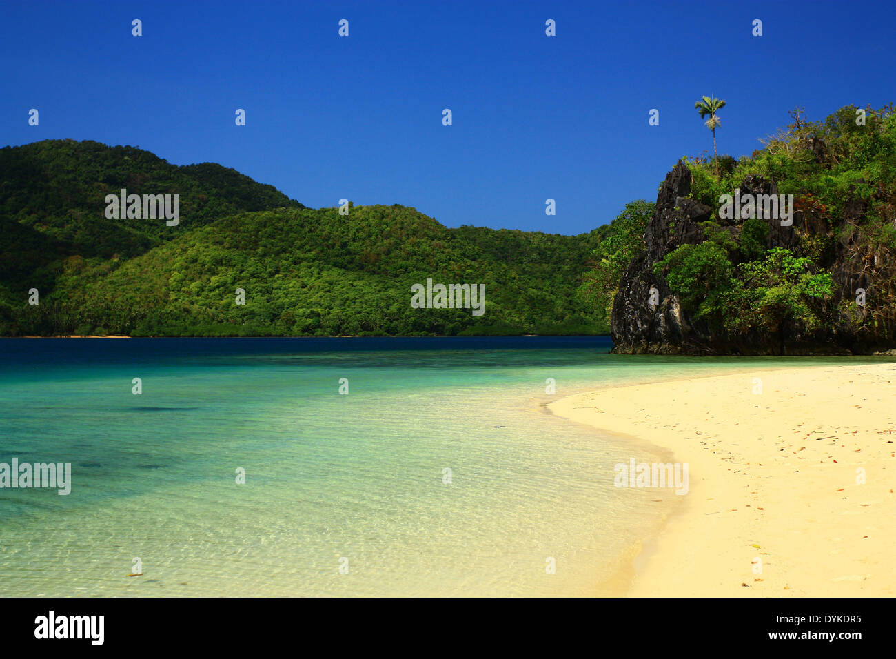 Tropischer Strand auf Dibuluan Island, El Nido, Palawan, Philippinen Stockfoto