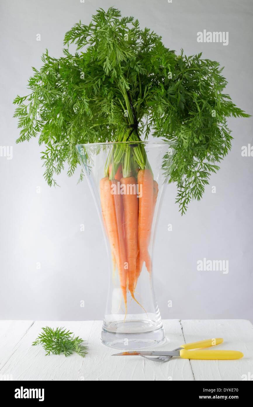 Ein paar Karotten in einer Vase vertikal auf dem Display platziert. Eine beliebte Wurzel Gemüse voller Vitamin a. Stockfoto