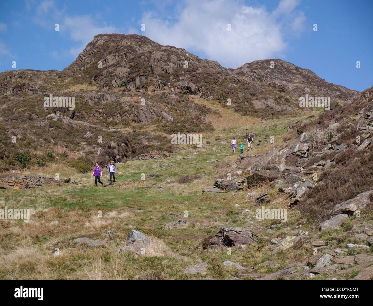 Familiengruppe zu Fuß den Cwm Bychan im Snowdonia Eryri Nationalpark hinunter, einem sehr beliebten Wandergebiet mit vielen großartigen öffentlichen Wanderwegen Stockfoto