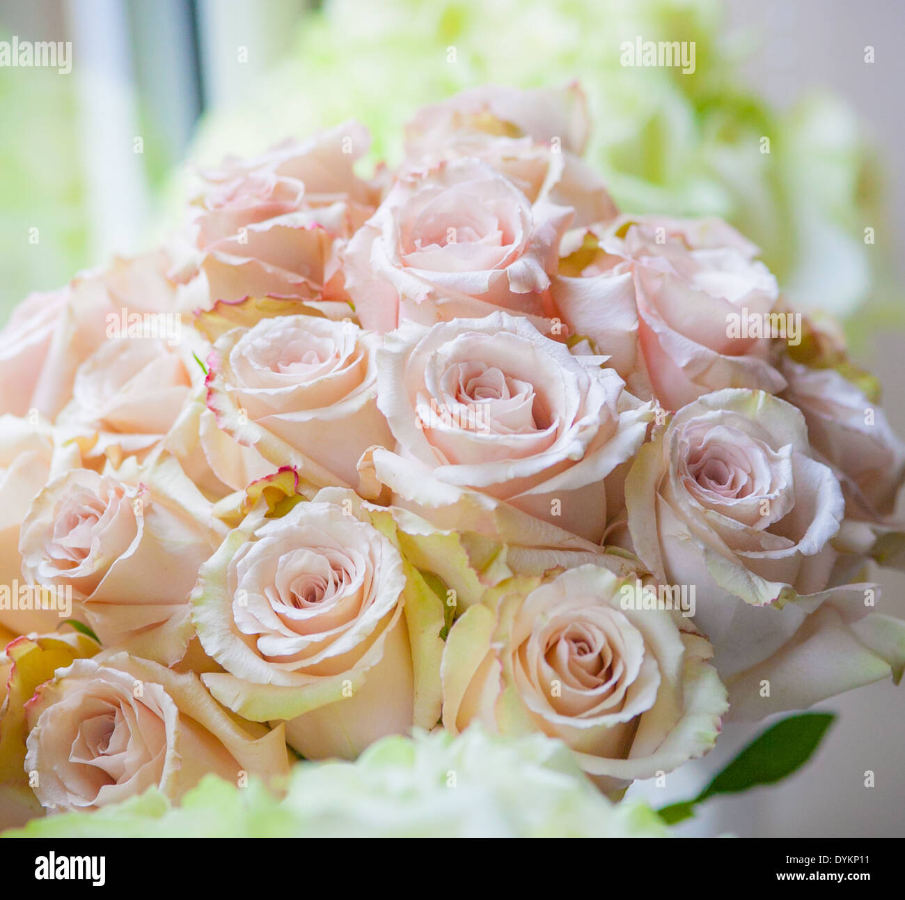 Nahaufnahme von rosa Rosen in einem Brautstrauß Stockfoto