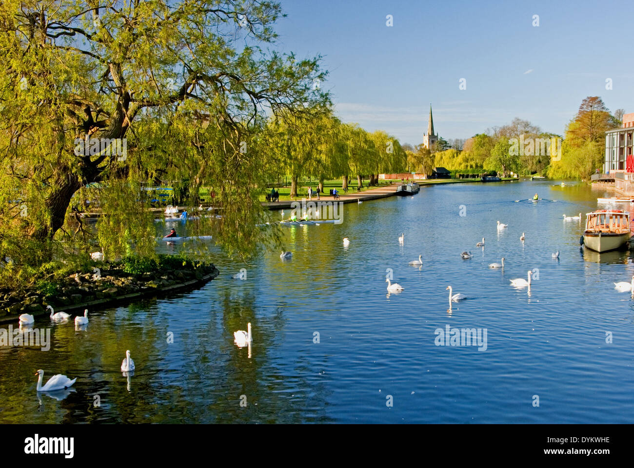 Der Fluss Avon im Zentrum von Stratford-upon-Avon, mit Blick auf die Kirche der Heiligen Dreifaltigkeit. Stockfoto