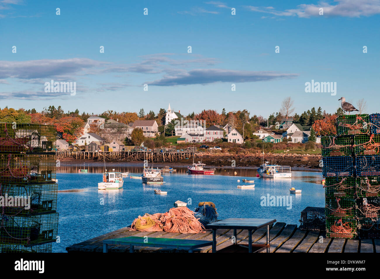 Corea Harbor, Maine, ME, USA Stockfoto