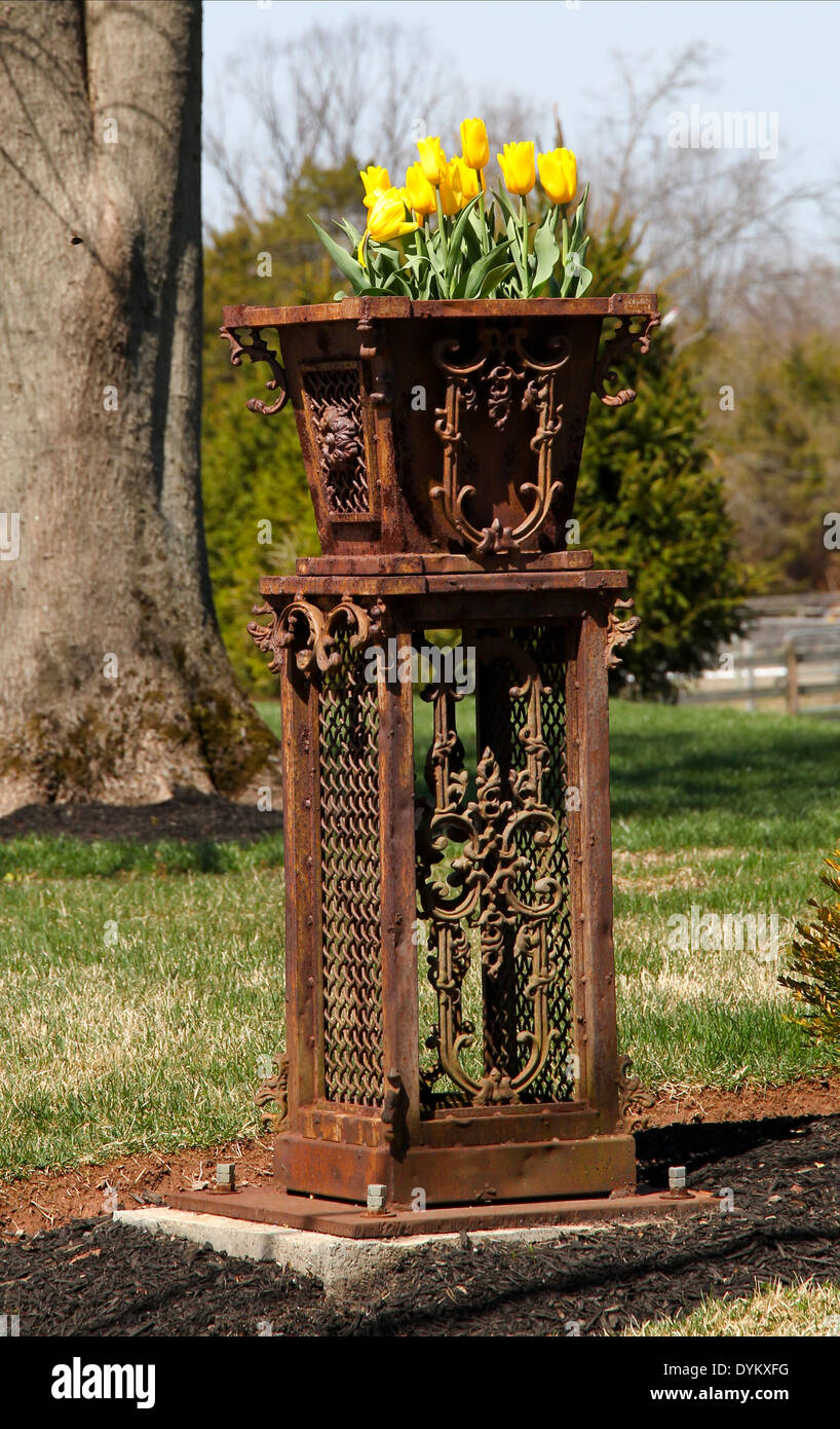 Schmiedeeisen Garten Skulptur mit gelben Tulpen mit einer Betonplatte verschraubt. Stockfoto
