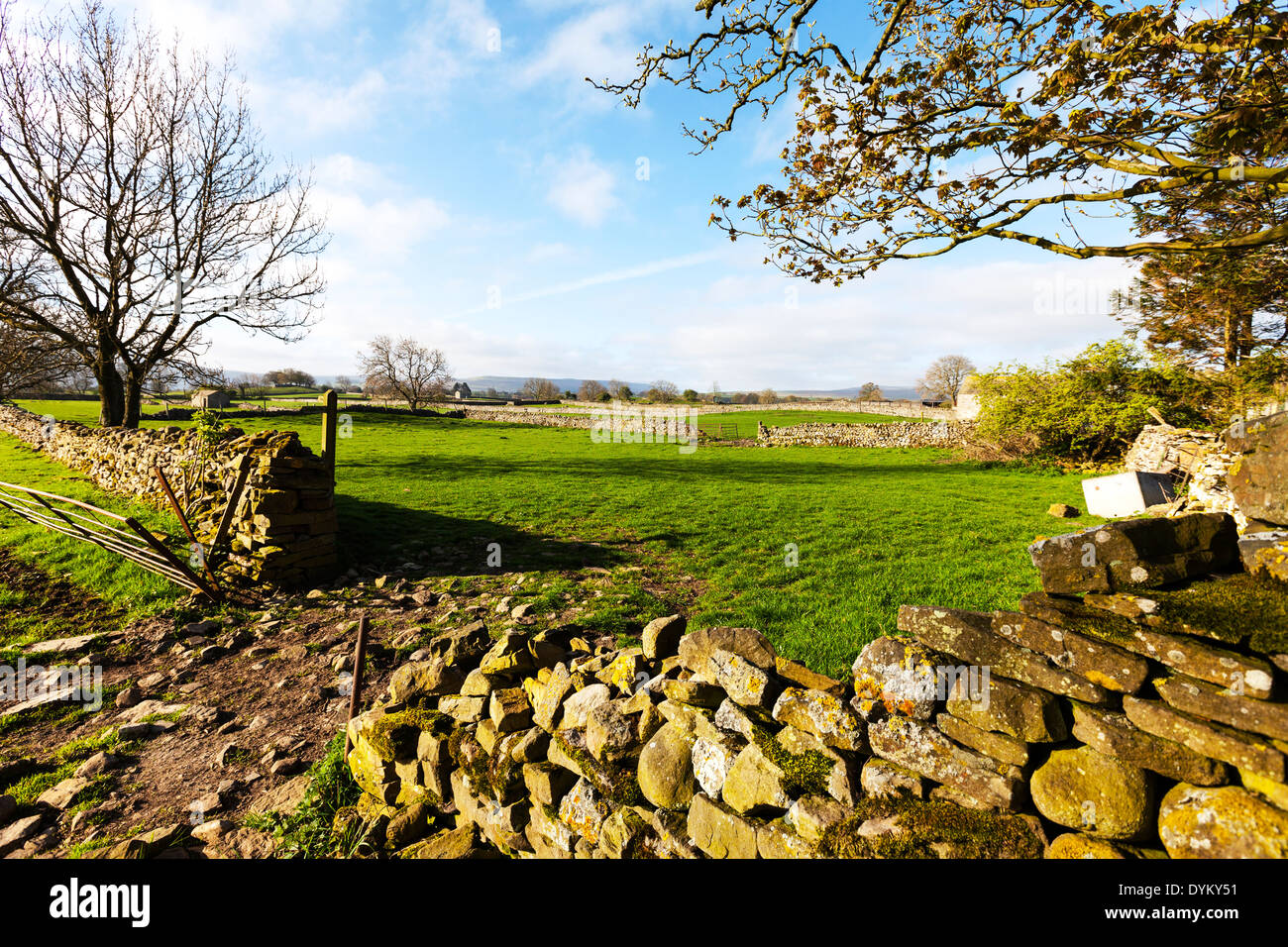 Yorkshire Dales National Park Feld Ackerland Trockenmauern wand Lücke UK England GB, Yorkshire Landschaft, gebrochene Trockenmauern Wand, Trockenmauer, Wände, Stockfoto