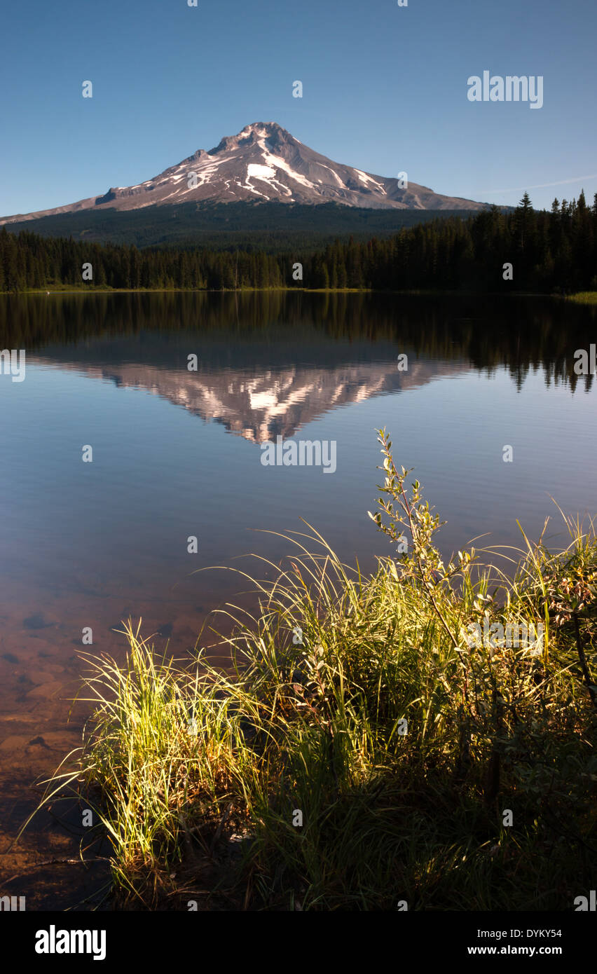 Am späten Nachmittag Sonne wärmt Mount Hood über Trillium Lake Stockfoto