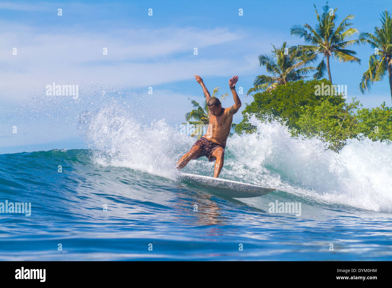 Bild eine Welle zu surfen. Insel Bali. Indonesien. Stockfoto