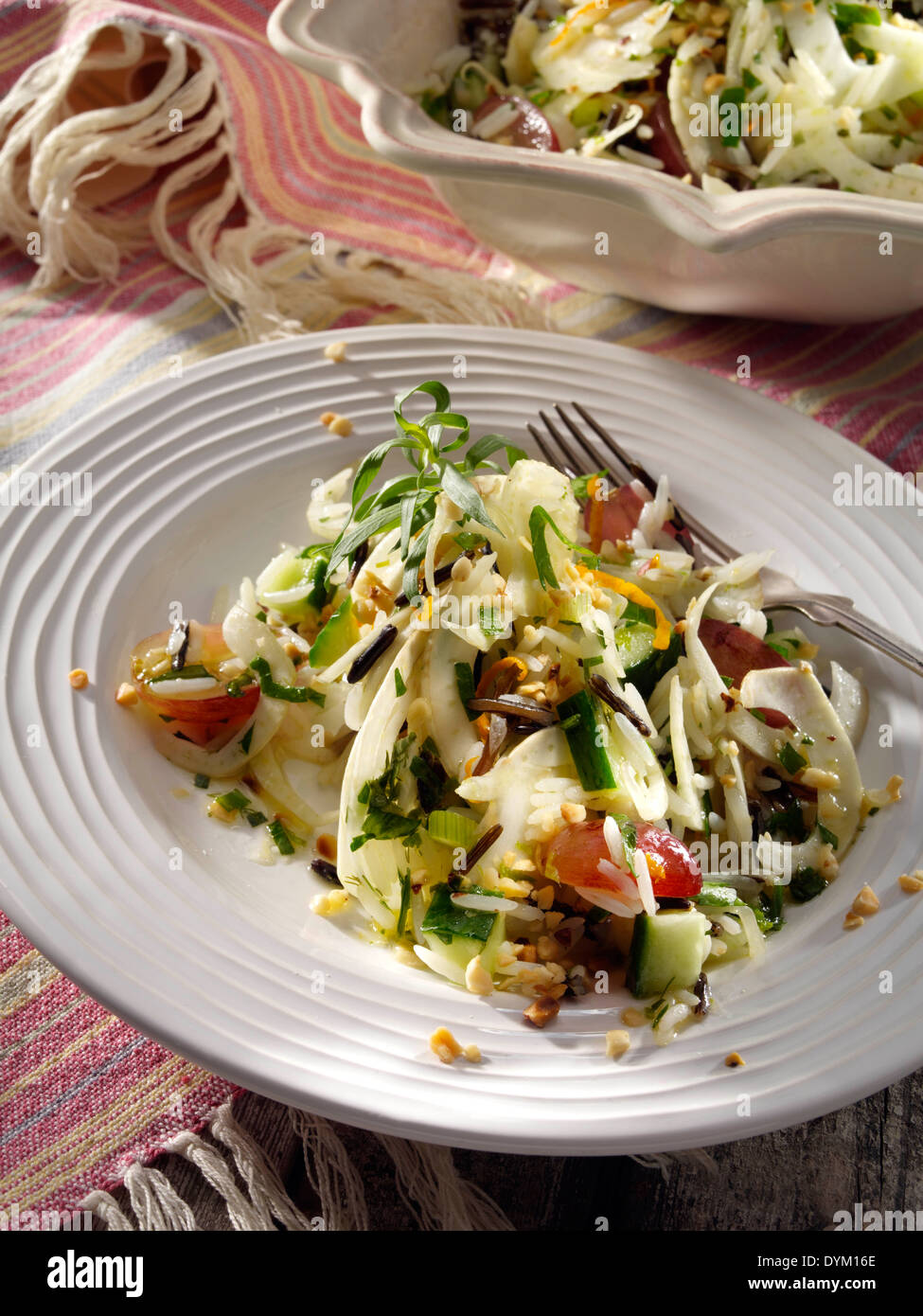 Wildreis und Fenchel-Salat Stockfoto