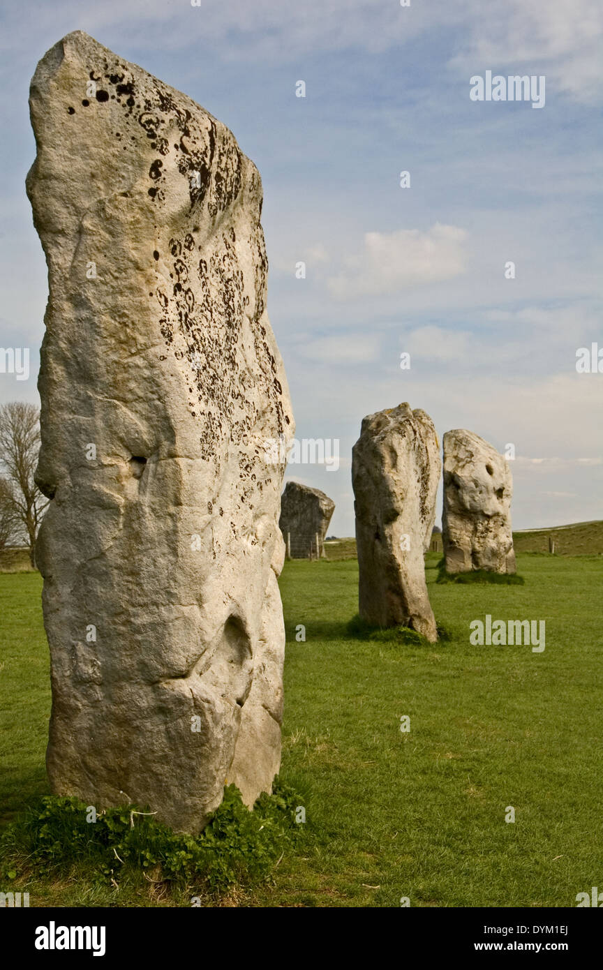 Stehende Steinen, die Bestandteil der Jungsteinzeit Stein Kreis Website in Avebury. Stockfoto