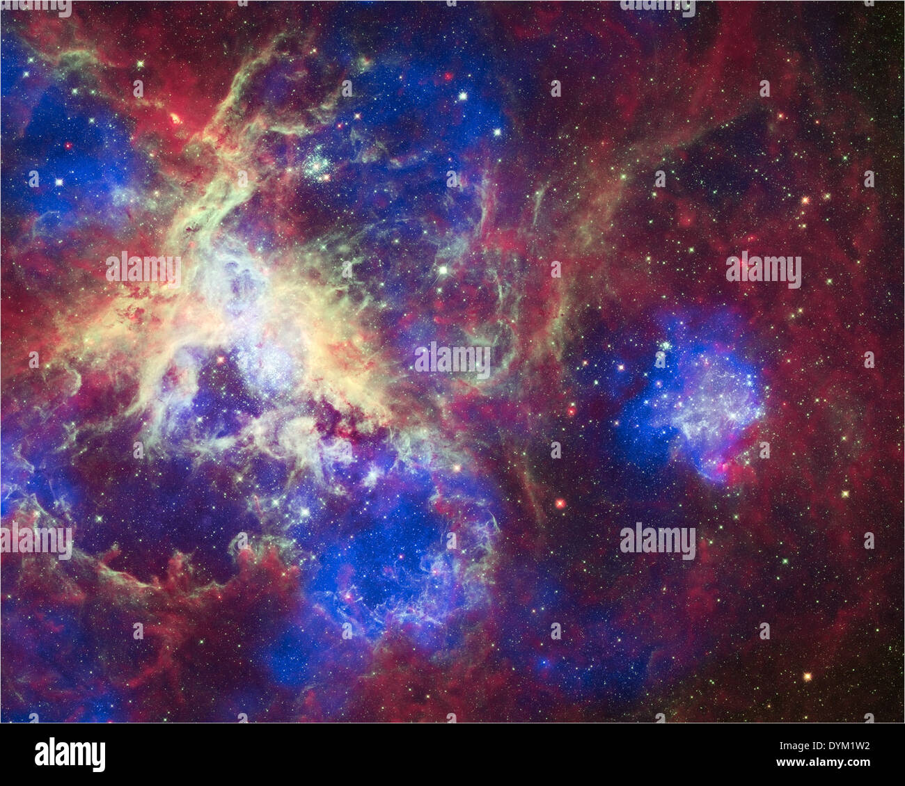 Dieser Verbund aus 30 Doradus, auch Tarantula-Nebel genannt, enthält Daten von Chandra (blau), Hubble (grün) und Spitzer (rot). Der Tarantula-Nebel liegt in der Großen Magellanschen Wolke und ist eine der größten sternbildenden Regionen in der Nähe der Milchstraße. Chandra's Röntgenstrahlen erkennen Gas, das von Sternwinden und Supernovas auf Millionen Grad erhitzt wurde. Diese hochenergetische Stellaktivität erzeugt Stoßfronten, die mit Schallausbrüten vergleichbar sind. Hubble zeigt das Licht massiver Sterne in verschiedenen Stadien der Sterngeburt, während Spitzer zeigt, wo das relativ kühlere Gas und Staub liegen. Stockfoto