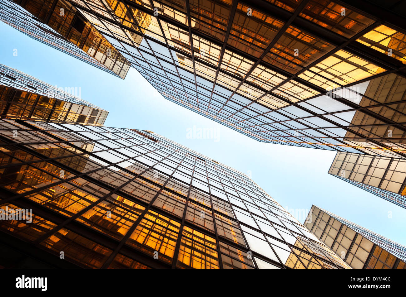 Glas-Wolkenkratzer in der Perspektive, Hong Kong Stockfoto