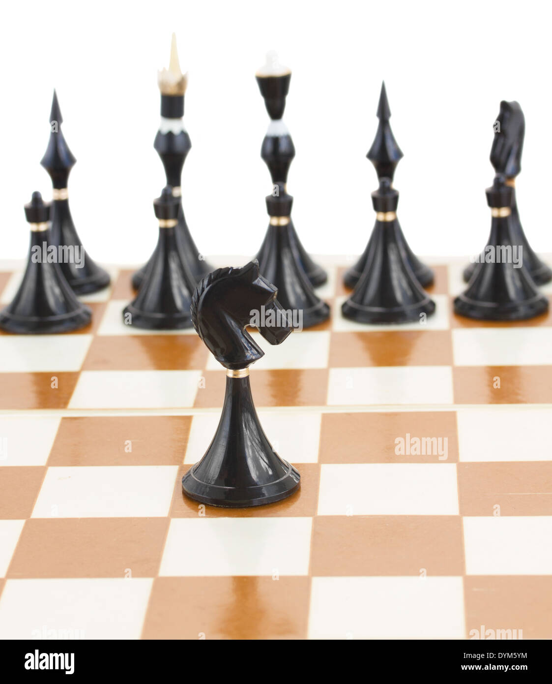 schwarze Ritter vor schwarz Schach Stockfoto