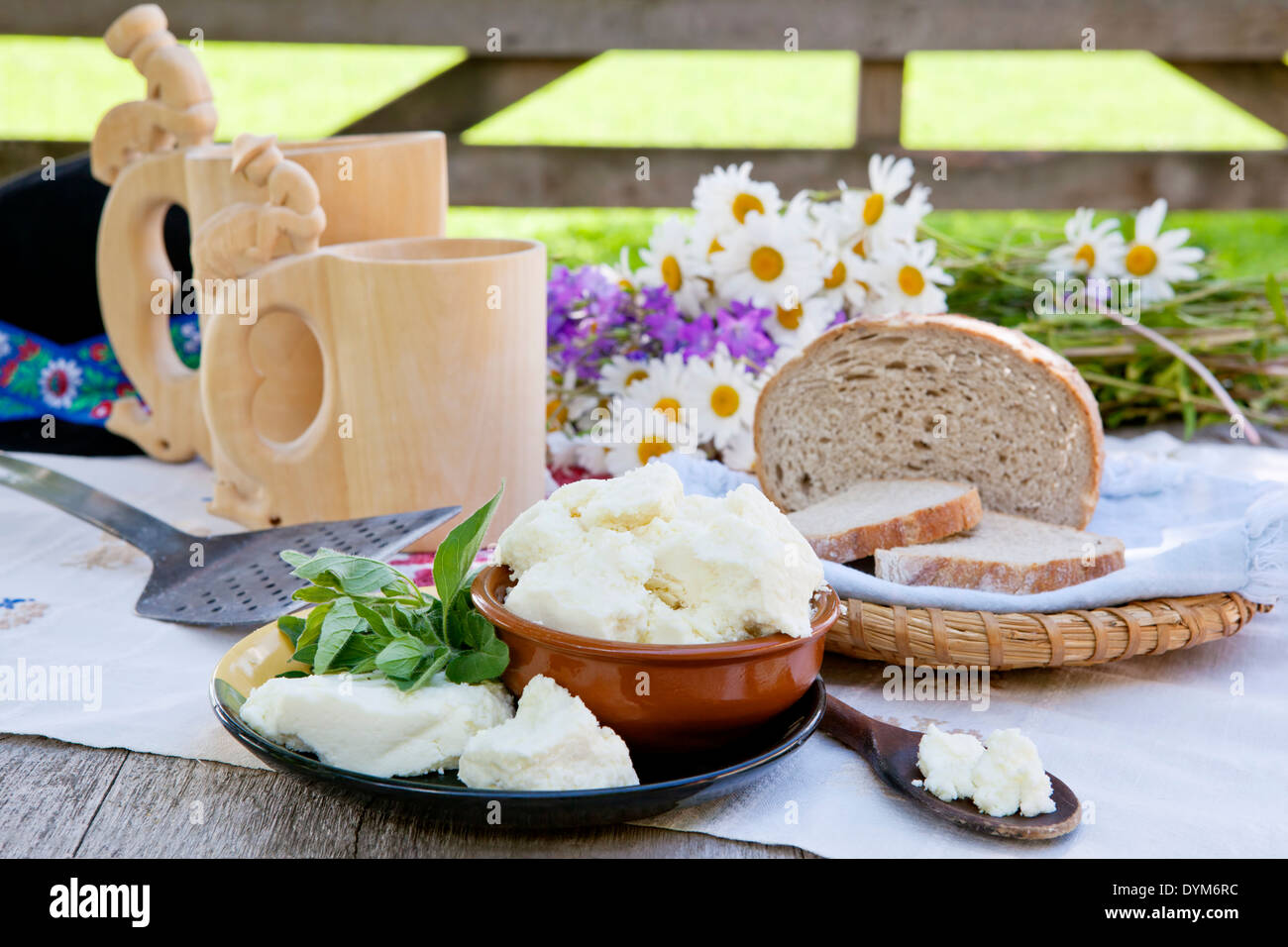 Traditionelle Bio slowakischer Schafskäse. Hausgemachte Bryndza Stillleben  Stockfotografie - Alamy