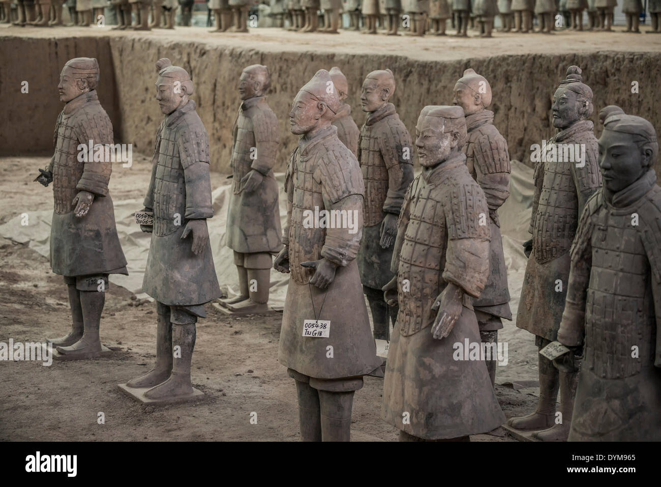 Krieger Figuren, Terrakotta-Armee, Teil des Mausoleums Gräber, Halle 1, von der 1. Kaiser Qin Shi Huang in Xian Stockfoto