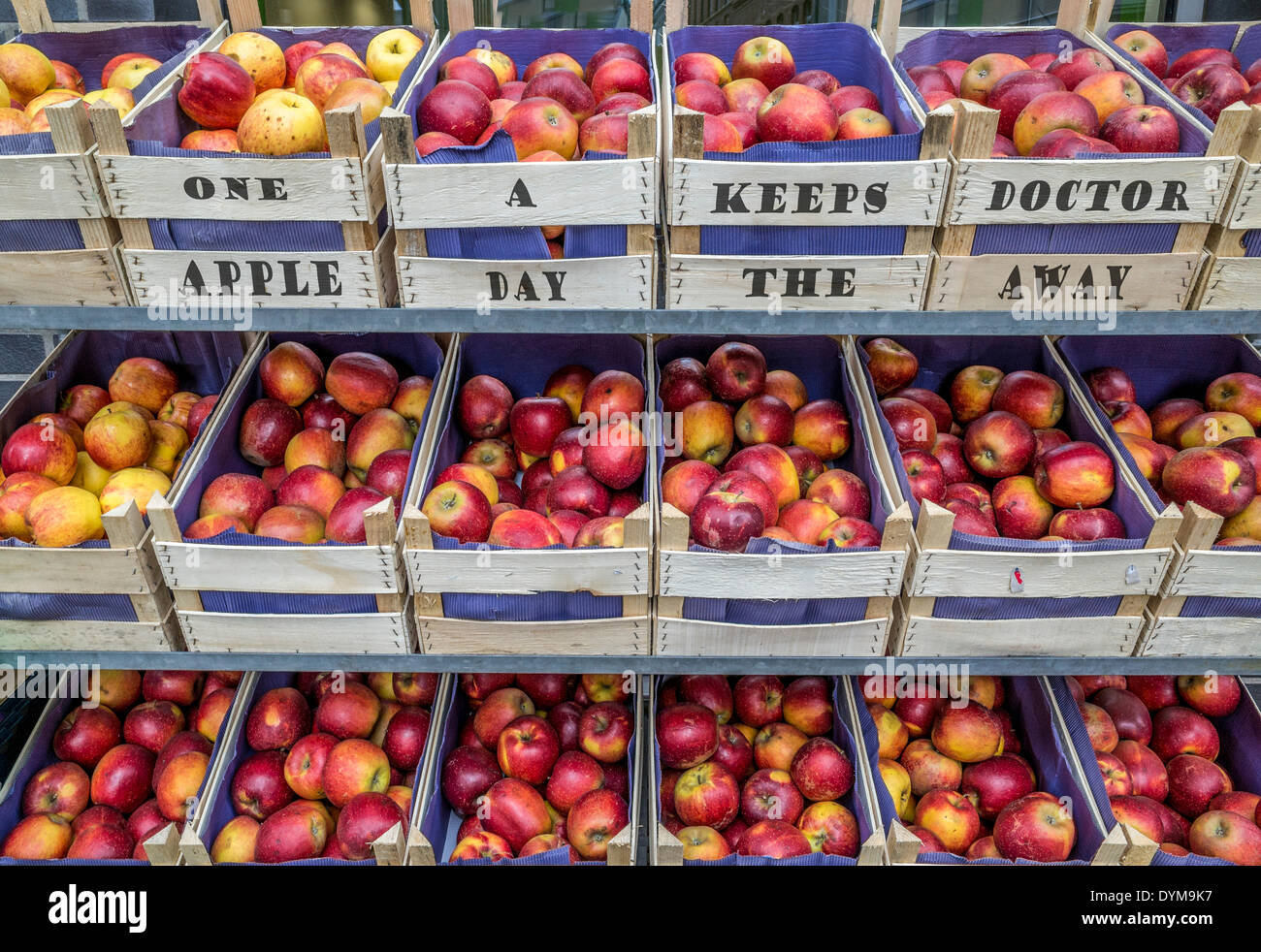 Äpfel in Obstkisten mit den schreiben "ein Apple a Day the Doctor away keeps", Markt, Stall, Erfurt, Thüringen, Deutschland Stockfoto
