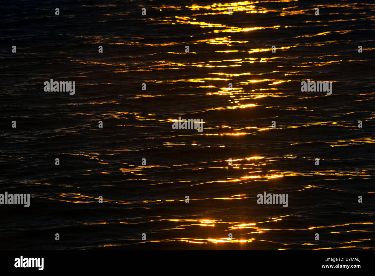 Abendlicht am Meer, Hinlopenstretet, Spitzbergen, Svalbard und Jan Mayen, Norwegen Stockfoto
