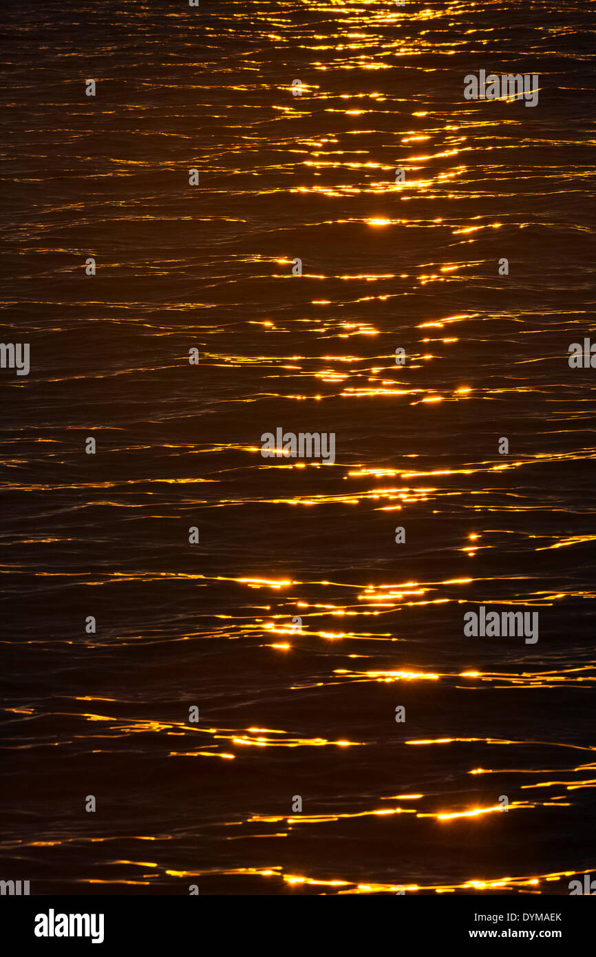 Abendlicht am Meer, Hinlopenstretet, Spitzbergen, Svalbard und Jan Mayen, Norwegen Stockfoto