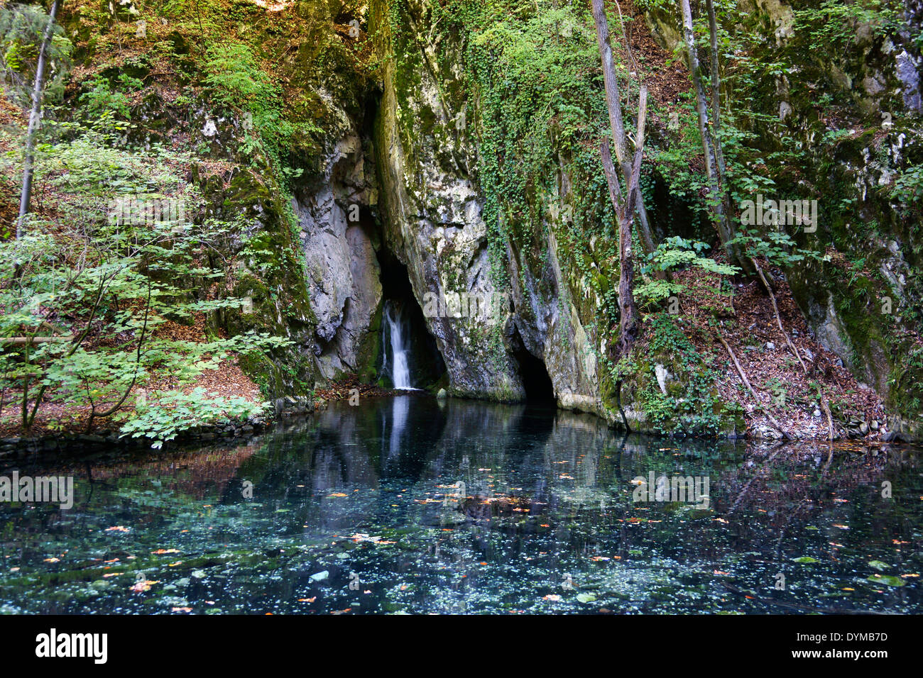 Kleiner Wasserfall und Teich, Bükki Nemzeti Nationalpark, Ungarn Stockfoto