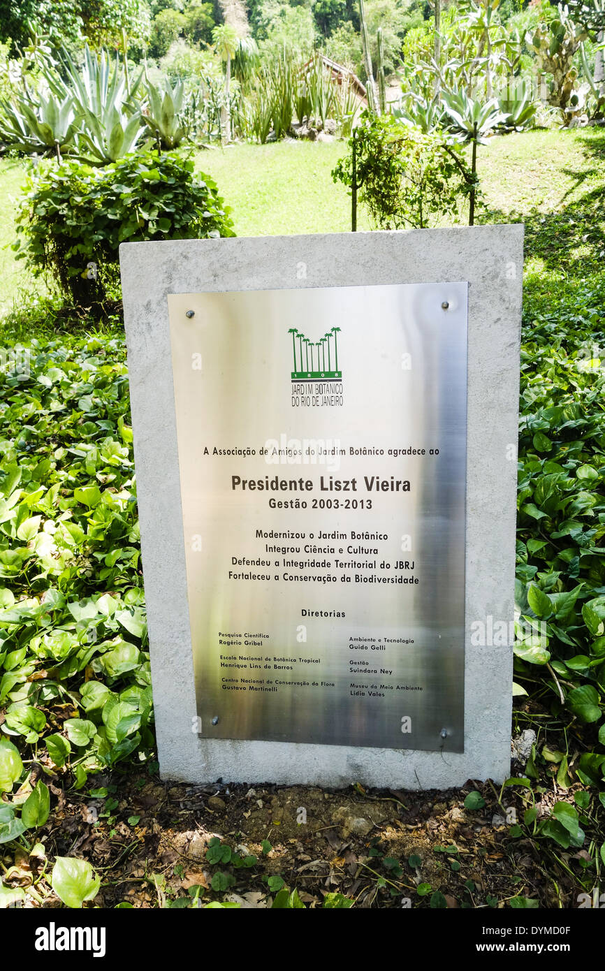 Rio De Janeiro, Botanischer Garten, Jardim Botanico, Presidente Liszt Vieira, Brasilien Stockfoto