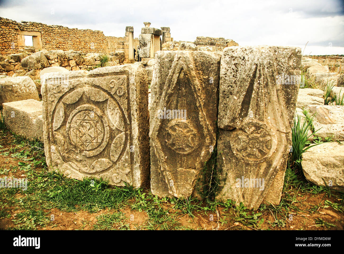 Marokko, römische Ruinen in der Ausgrabungsstätte Volubilis Stockfoto