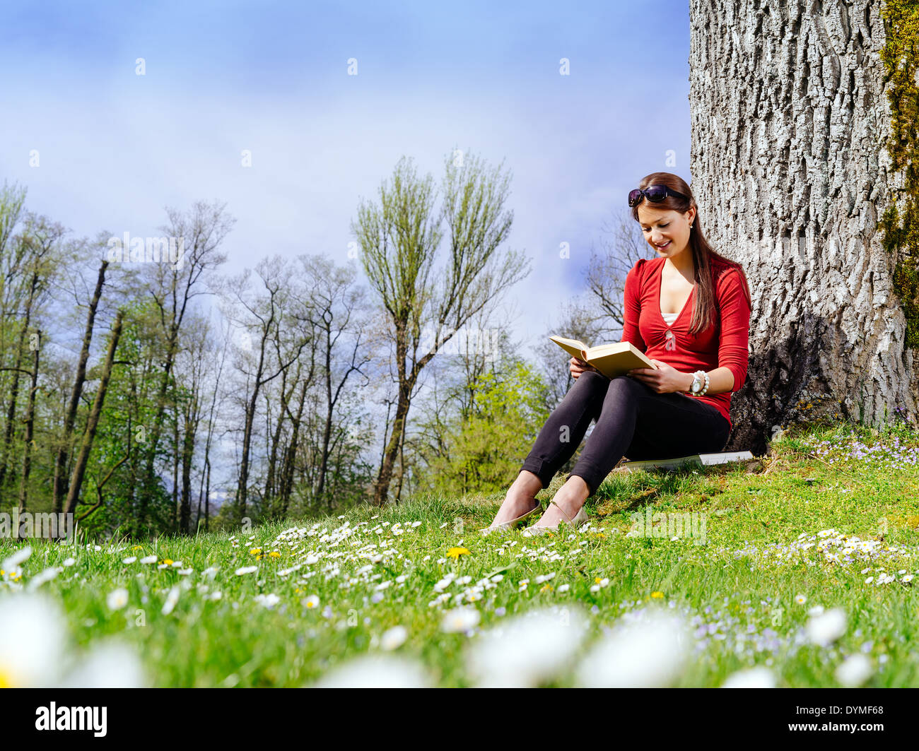 Foto von einer schönen jungen Frau, die einem Buch sitzen gegen einen Baum im zeitigen Frühjahr. Stockfoto
