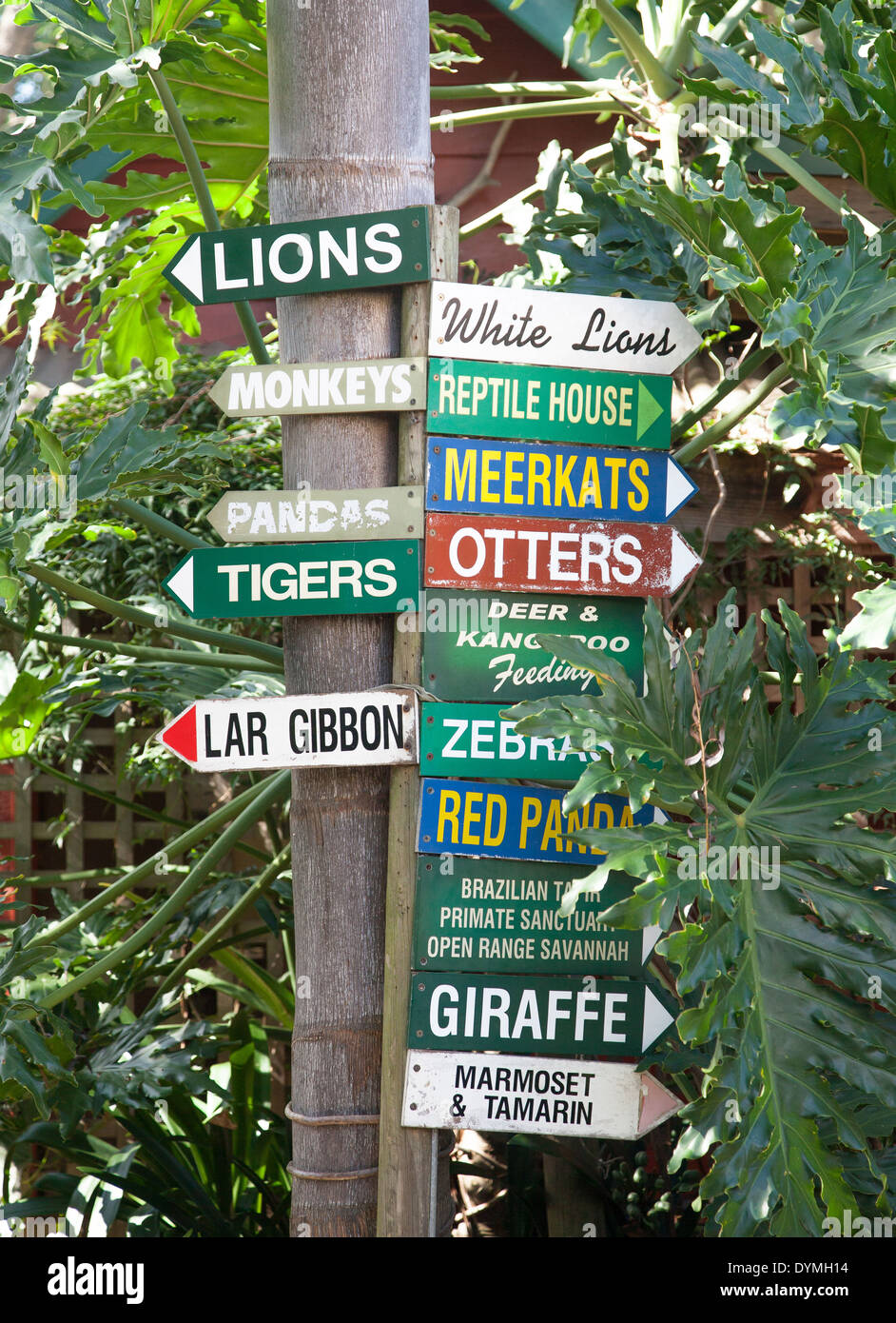 Ein Wegweiser in einem Zoo mit vielen verschiedenen exotischen Tier Orten Stockfoto