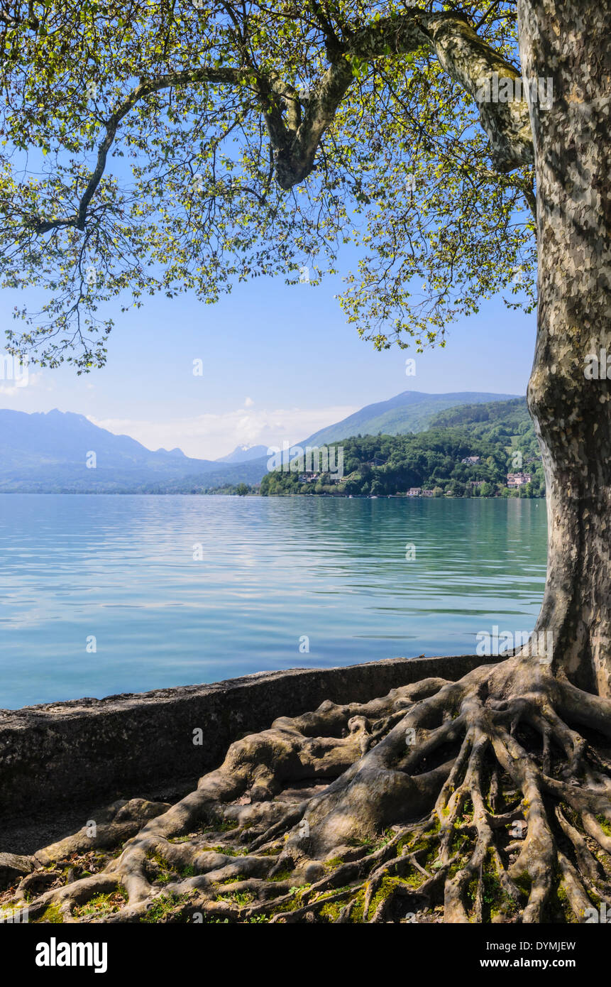 Lac d ' Annecy, Annecy, Haute-Savoie, Rhone-Alpes, Frankreich Stockfoto