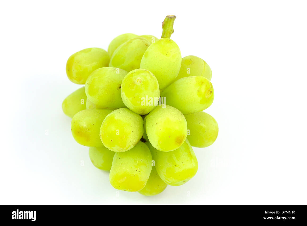 Eine kleine Gruppe von grünen Trauben Stockfoto