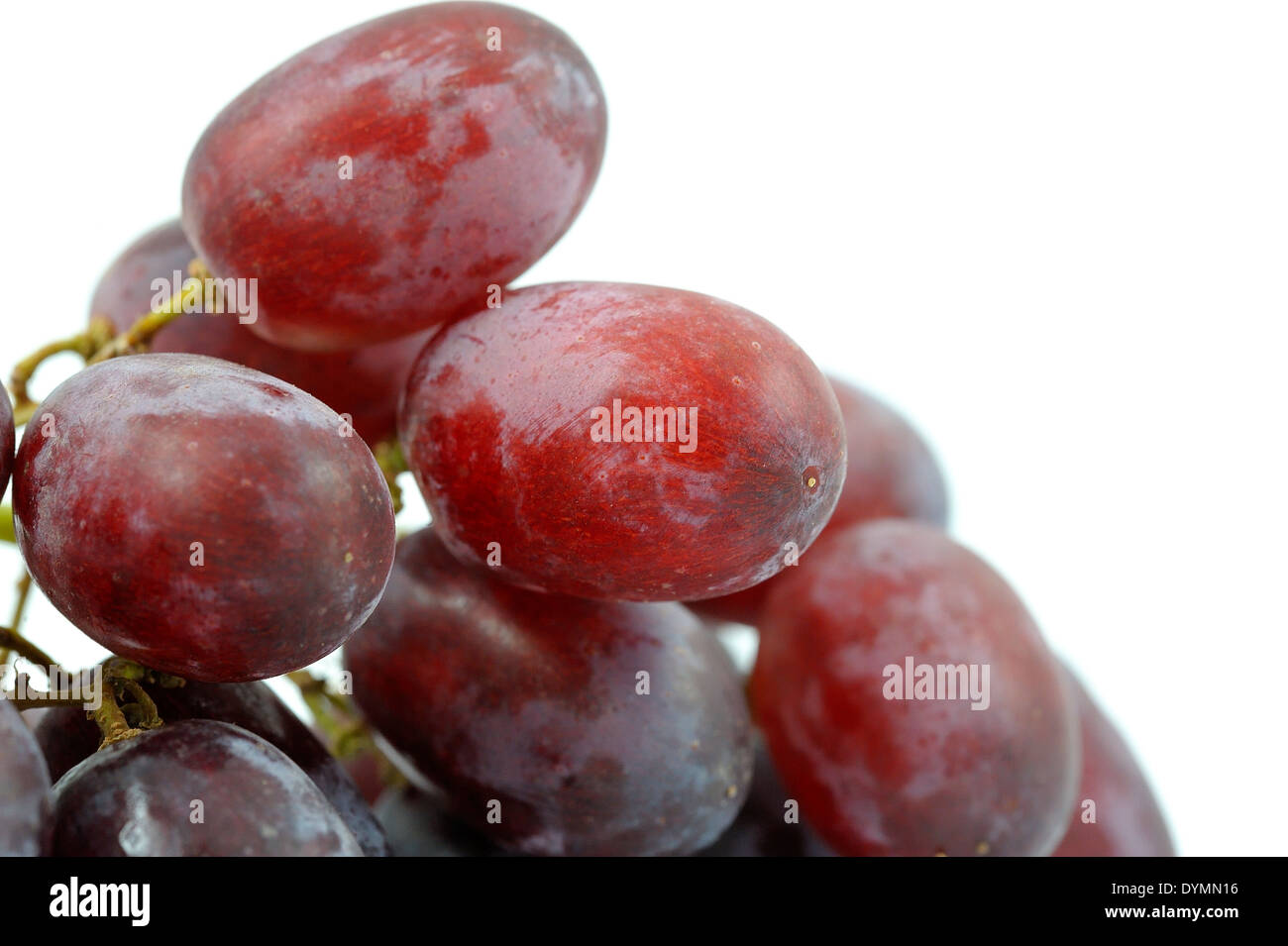 Rote Trauben auf einer weißen Studio-Hintergrund Stockfoto