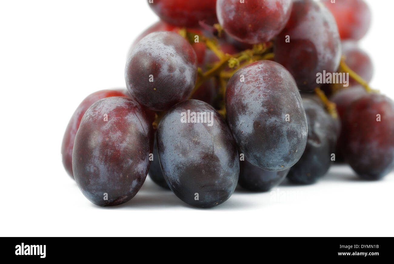 Rote Trauben auf einer weißen Studio-Hintergrund Stockfoto