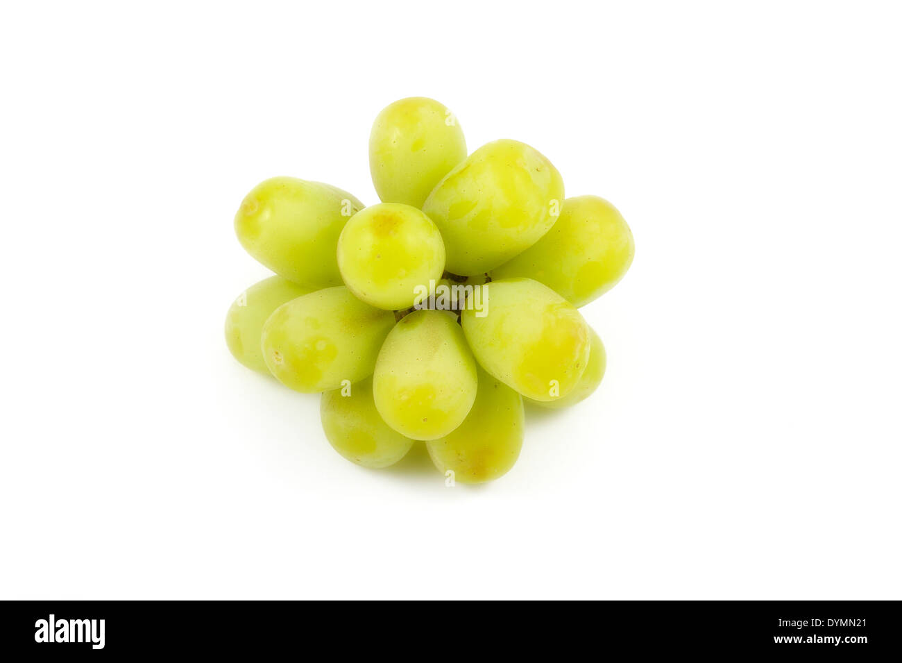Eine kleine Gruppe von grünen Trauben Stockfoto