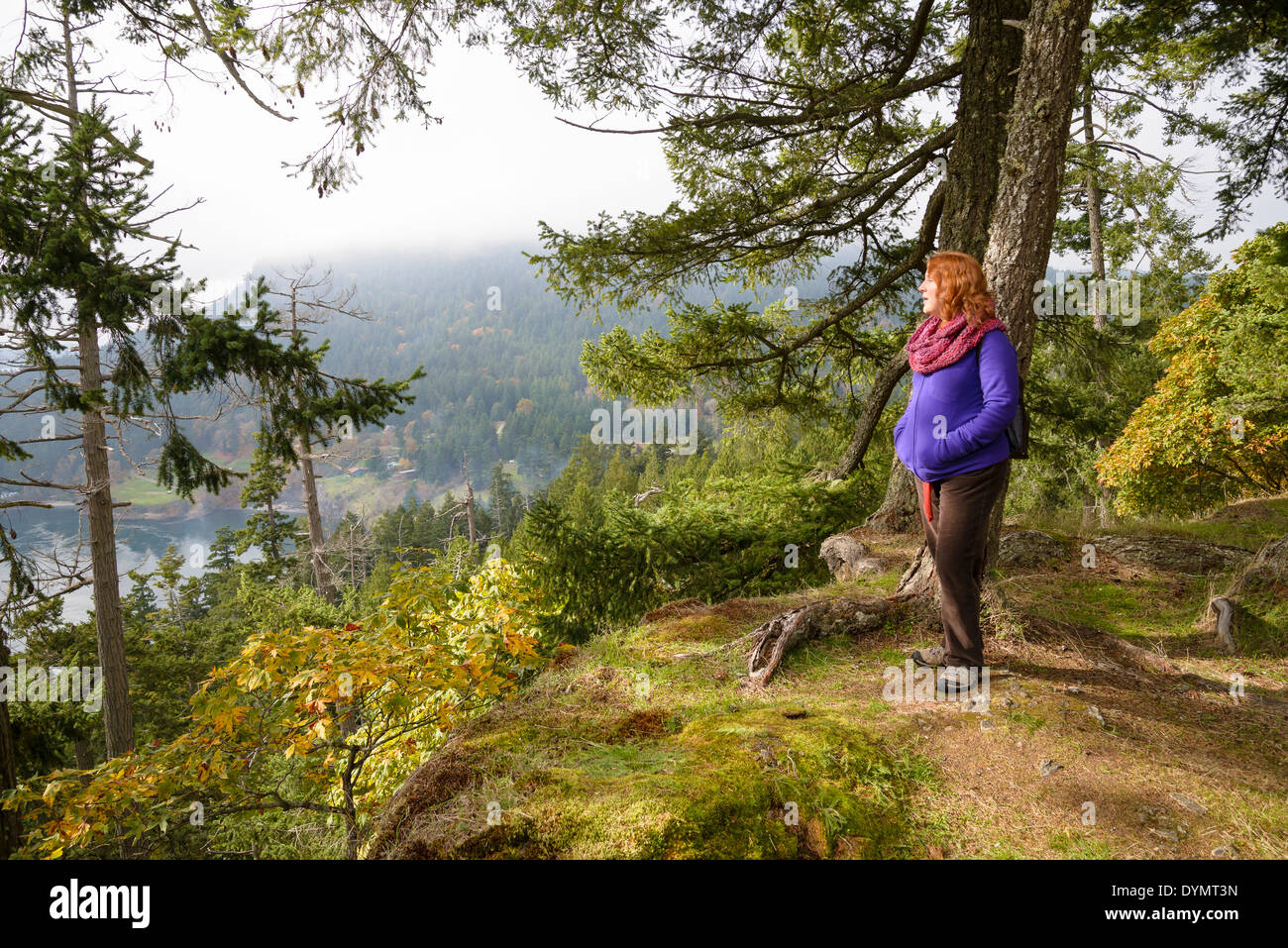 Bluffs Park, Galiano Island. British Columbia, Kanada Stockfoto