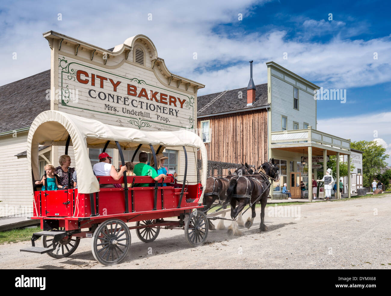Pferdewagen fahren von Clydesdale-Pferde, Fort Steele Erbe Stadt, Kootenay Region Ost, Britisch-Kolumbien, Kanada gezogen Stockfoto