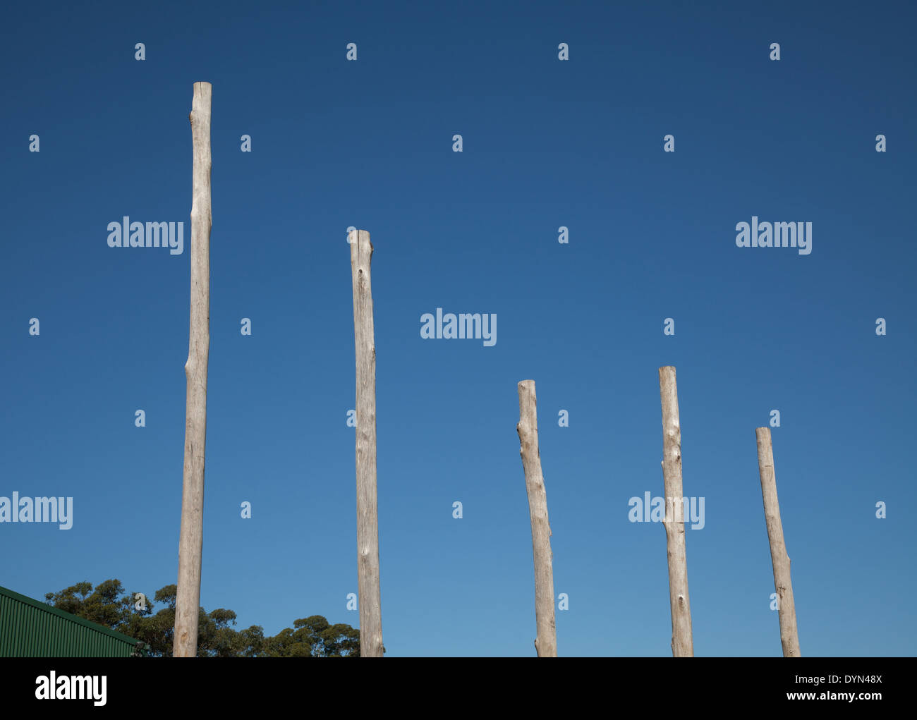 Eine Reihe von Holz Polen gegen einen blauen Himmel, der ein Diagramm ähnelt Stockfoto