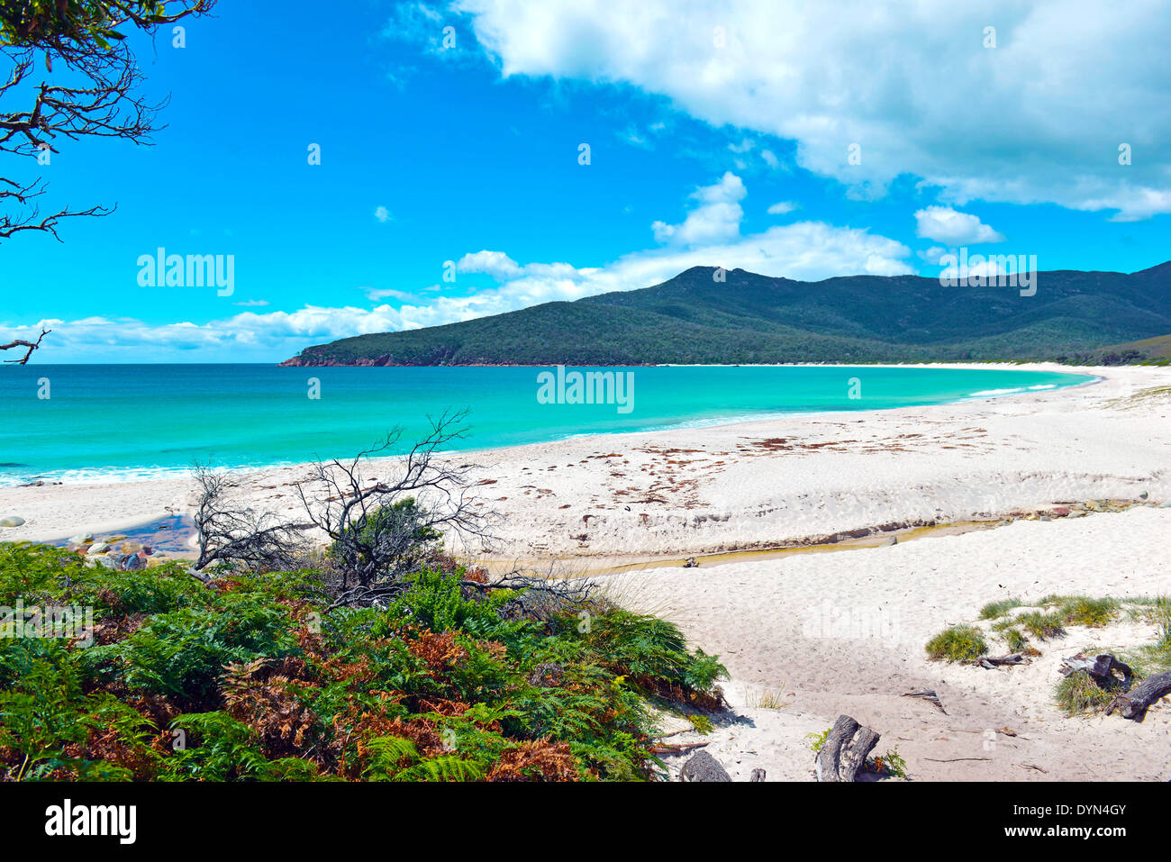 Coastilne von Freycinet National Park, Tasmanien, Australien Stockfoto