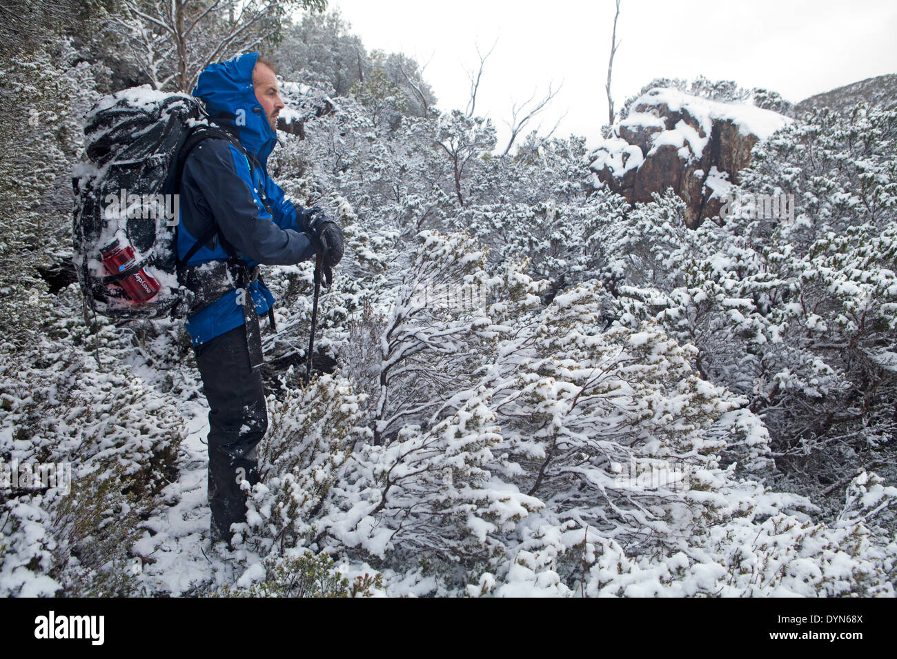 Wanderer im Schnee auf Mt Oakleigh Stockfoto