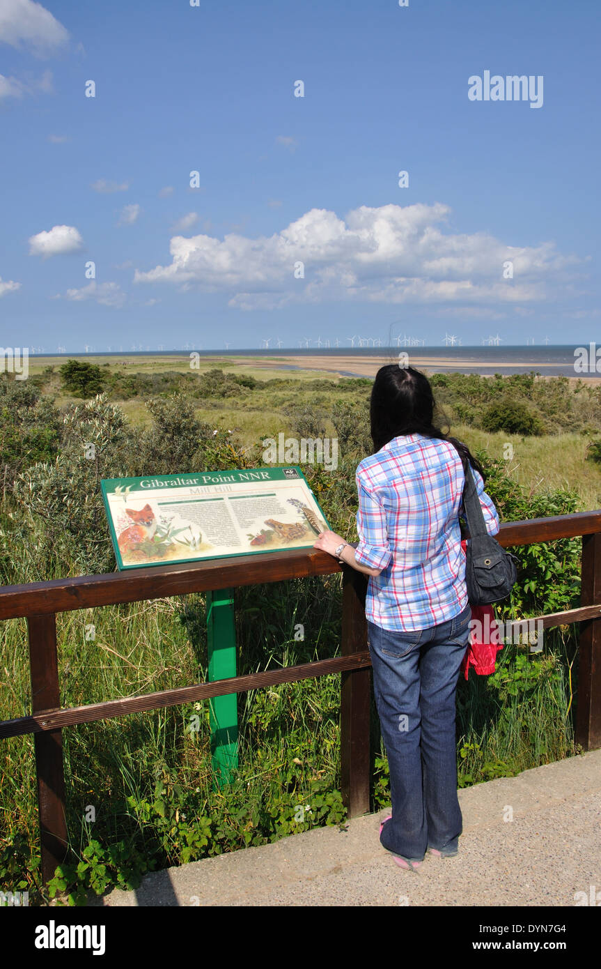 Gibraltar Point Nature Reserve, in der Nähe von Skegness, Lincolnshire, England, UK Stockfoto