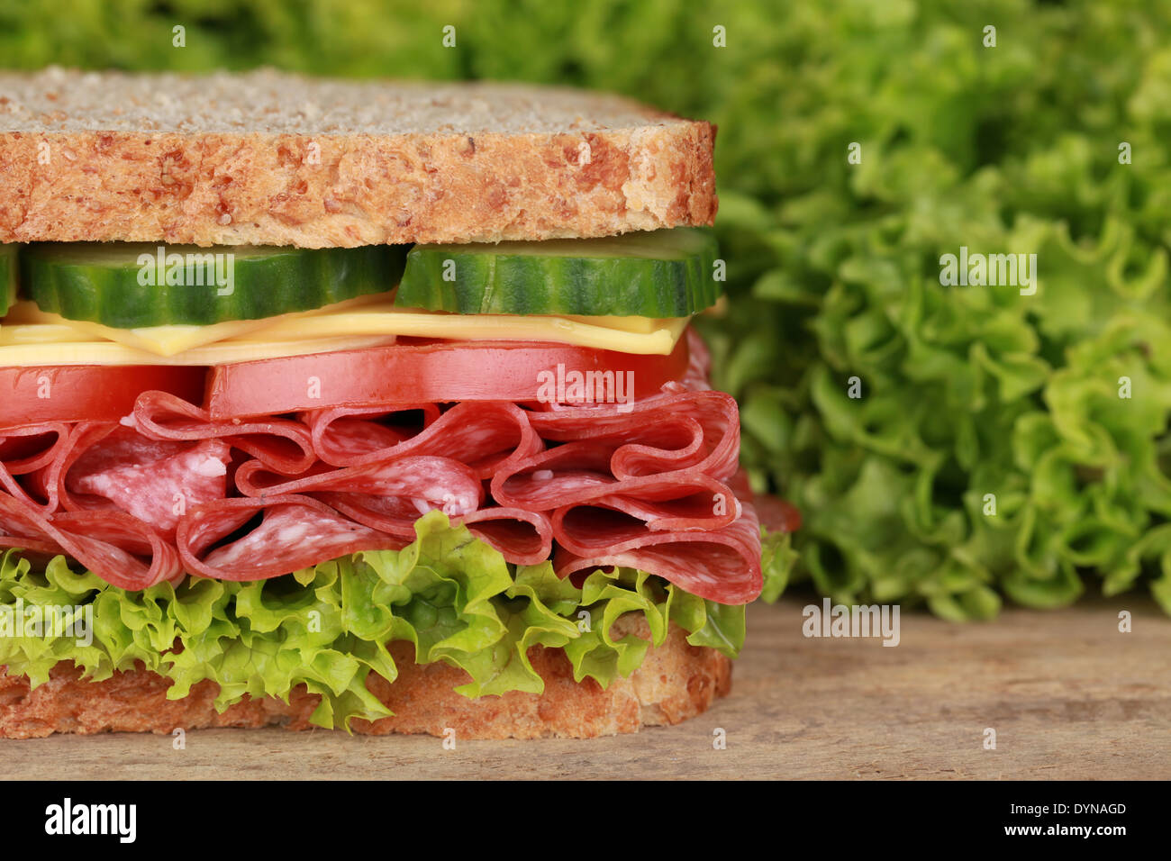 Frisches Sandwich mit Salami, Käse, Tomaten, Salat und Gurke, viele Exemplar Stockfoto