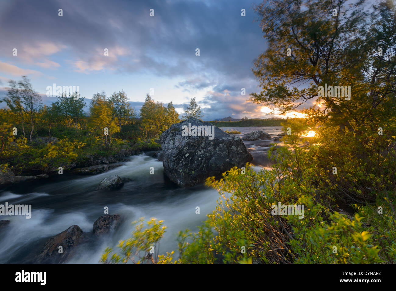 Strom des Wassers fließt durch Wald Stockfoto