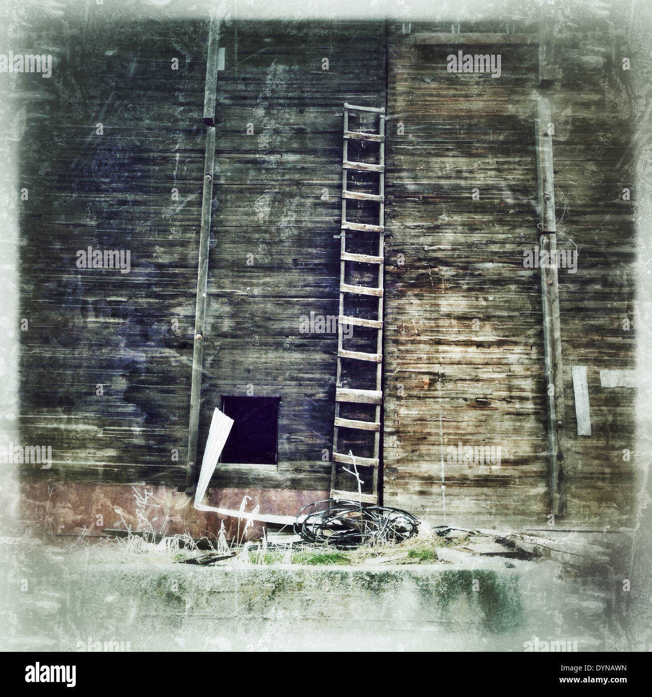 Holzleiter stützte sich auf Scheune - Smartphone-aufgenommenes Stockfoto