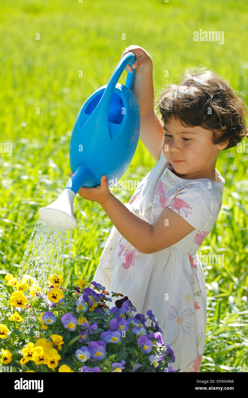 Kleines Mädchen. 3 4 Jahre alt. Bewässerung Stiefmütterchen. Stockfoto