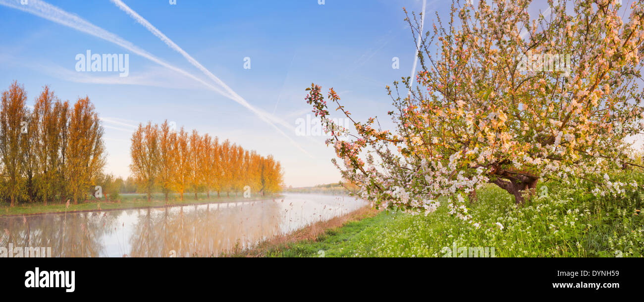 Blühende Apfelbäume entlang eines Flusses Stockfoto