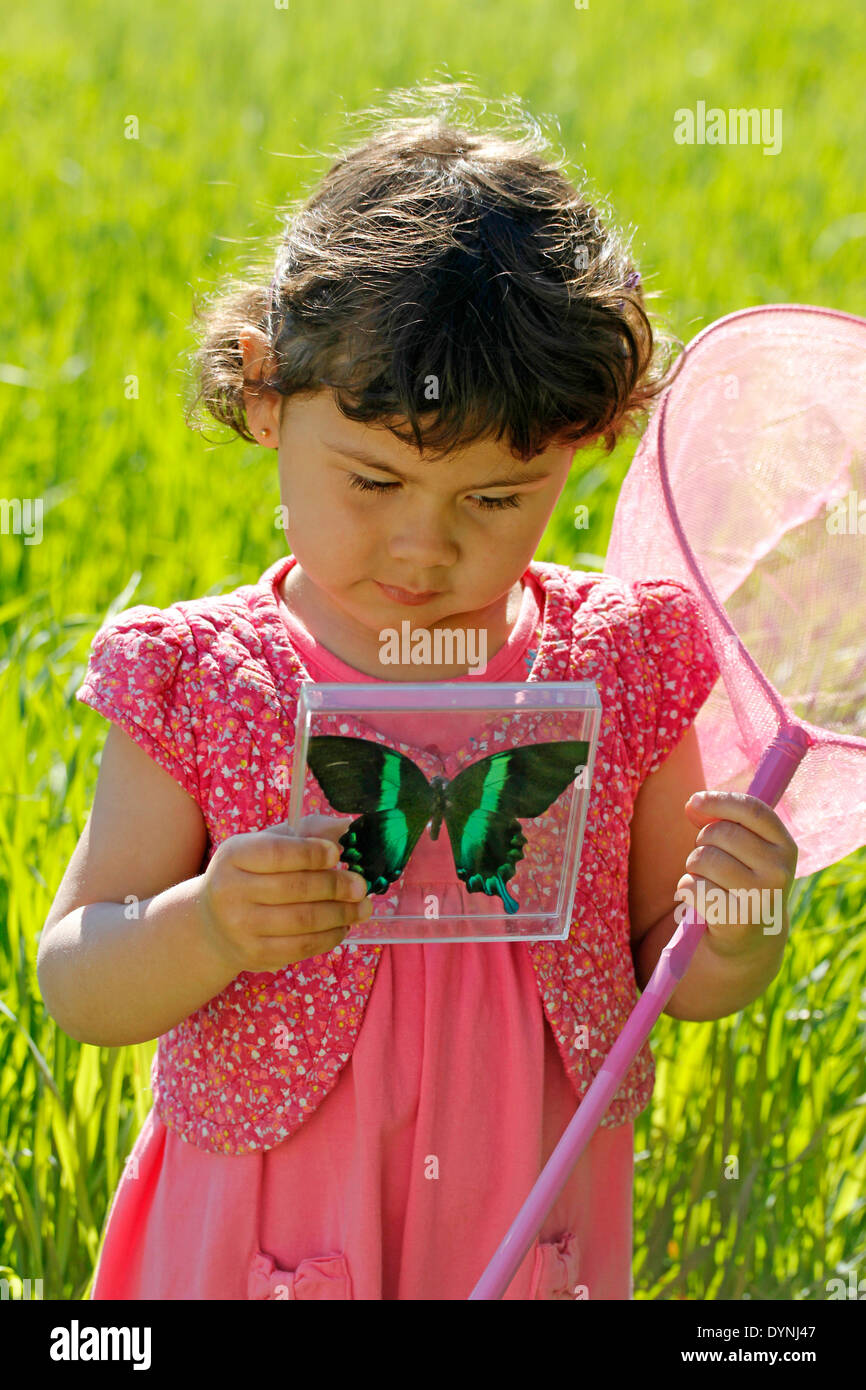 Kleines Mädchen. 3 4 Jahre alt. Jagd Schmetterlinge. Stockfoto