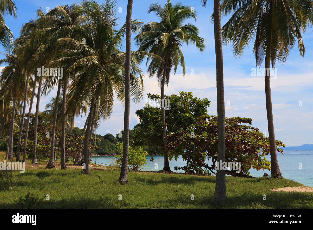Ko Ngai, eine tropische Insel in der Andamanensee, Thailand. Foto V.D. Stockfoto