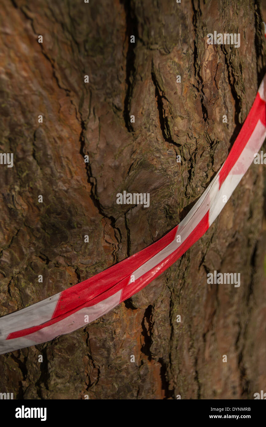 Gefahr-Klebeband umwickelt einen Baumstamm.  Interessanten Kontrast zwischen natürlichen und künstlichen.  Fälschlich Reservoir, UK. Stockfoto