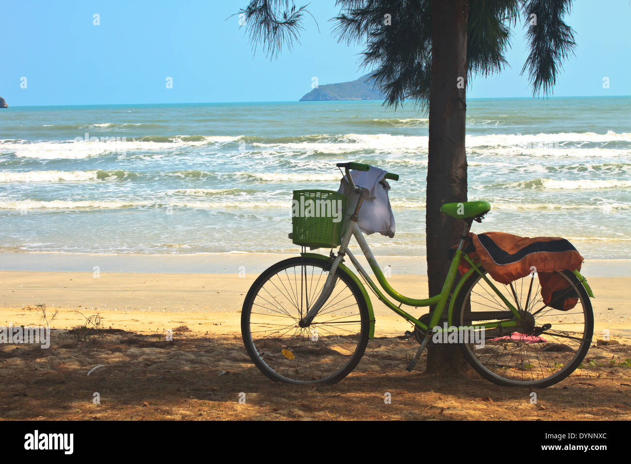 Fahrrad mit Baum am Strand, Thailand Stockfoto