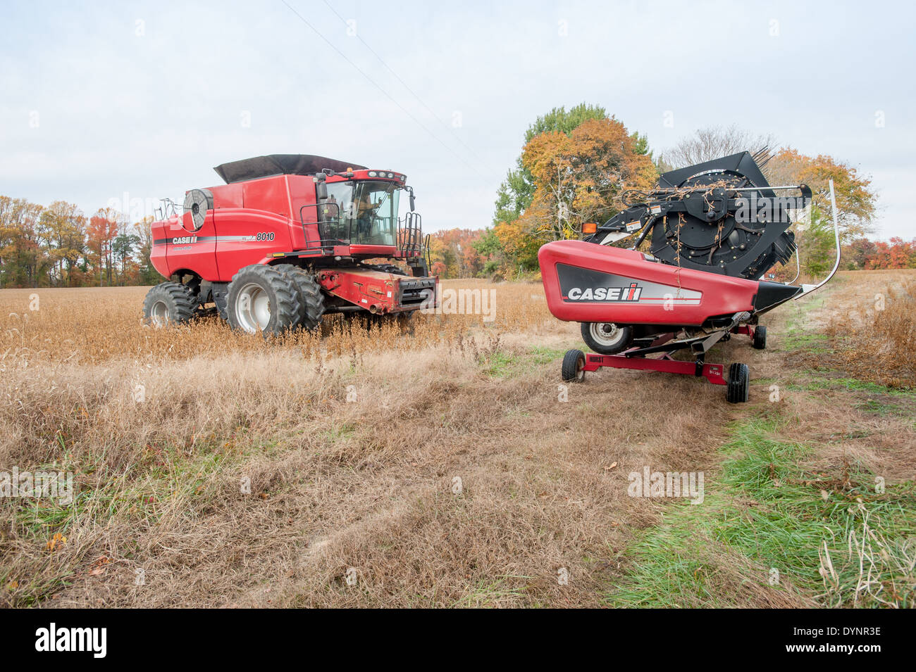 Landmaschinen in Soja Feld Ridgely, Maryland Stockfoto