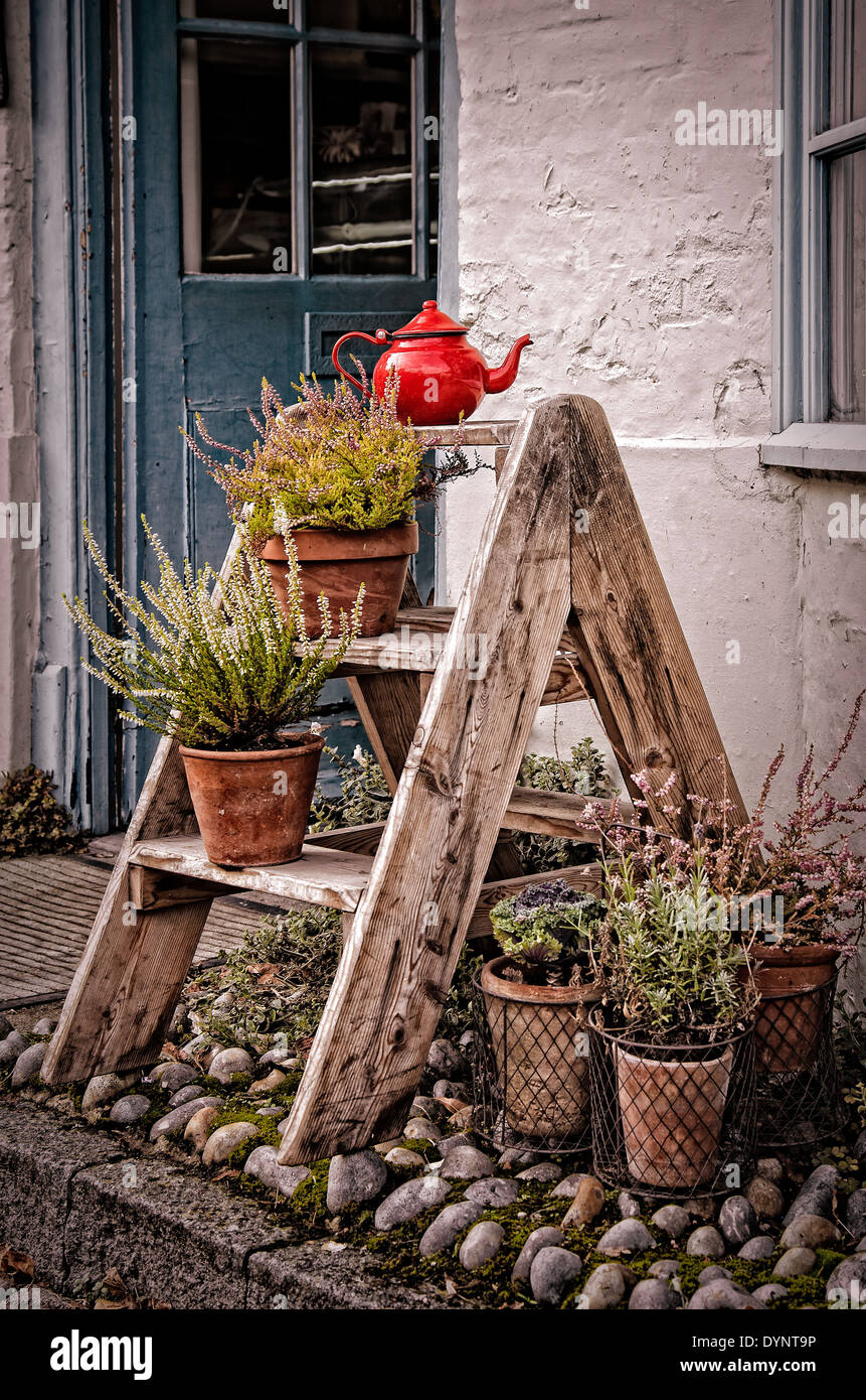 Kleine Schritte mit Pflanzen in Töpfen und eine kleine rote Teekanne Stockfoto
