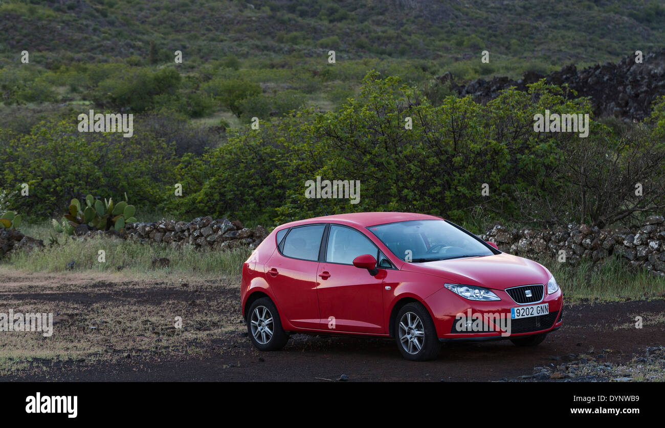 Rot Seat Ibiza geparkt auf dem Land an einem nebligen Morgen auf Teneriffa, Kanarische Inseln, Spanien, Stockfoto
